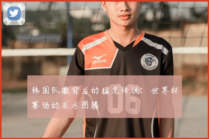 韩国队徽背后的猛虎传说:世界杯赛场的东方图腾