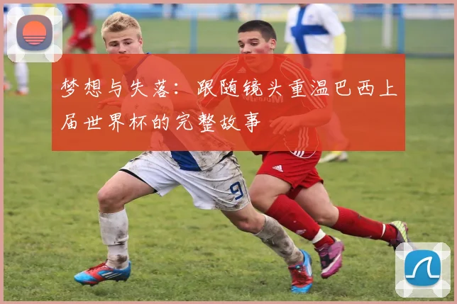 梦想与失落:跟随镜头重温巴西上届世界杯的完整故事