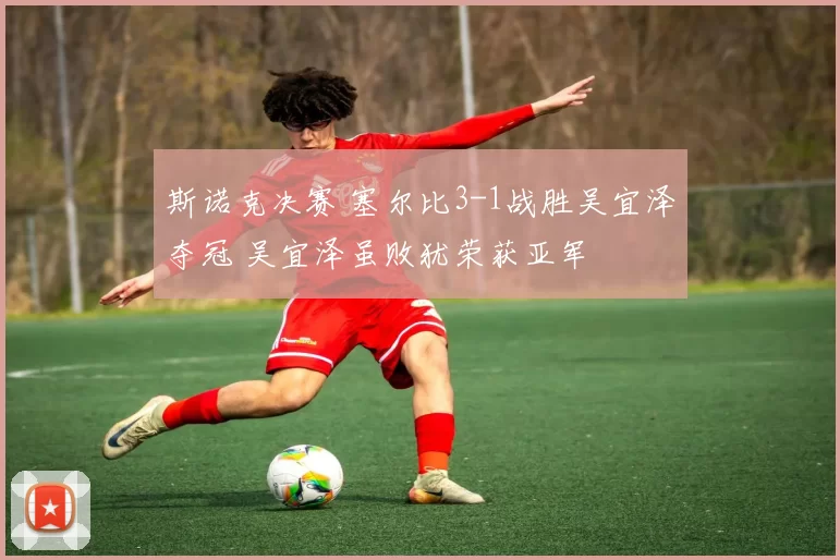 斯诺克决赛 塞尔比3-1战胜吴宜泽夺冠 吴宜泽虽败犹荣获亚军