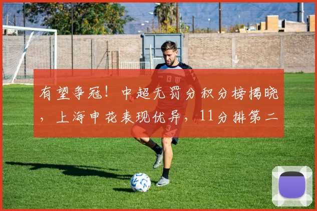 有望争冠！中超无罚分积分榜揭晓，上海申花表现优异，11分排第二_米内罗_本赛季_球迷