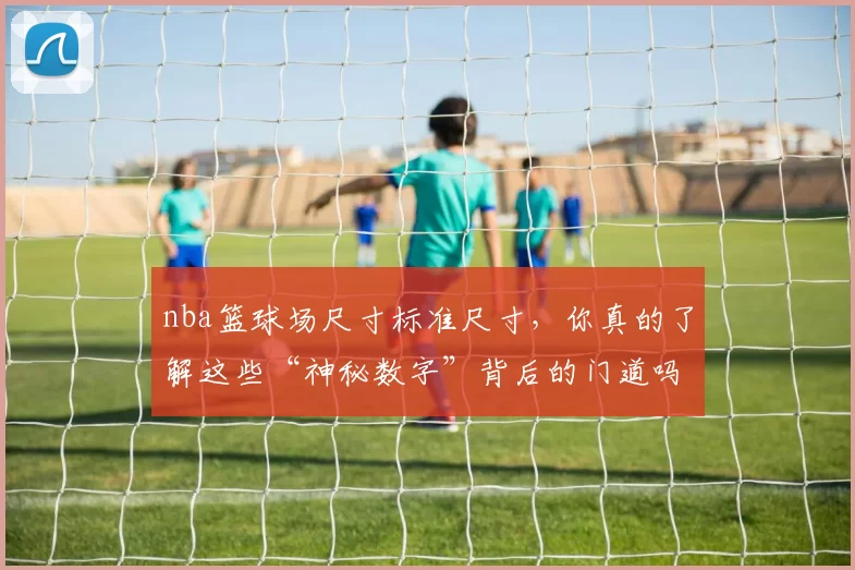 nba篮球场尺寸标准尺寸,你真的了解这些“神秘数字”背后的门道吗?
