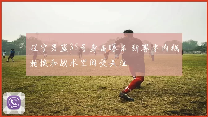 辽宁男篮35号身高曝光 新赛季内线轮换和战术空间受关注