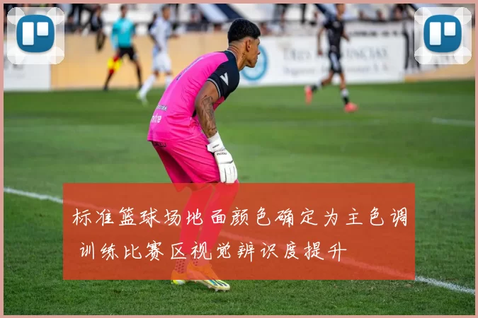 标准篮球场地面颜色确定为主色调 训练比赛区视觉辨识度提升