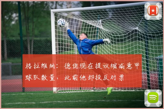 格拉维纳：德佬现在提议缩减意甲球队数量，此前他却投反对票