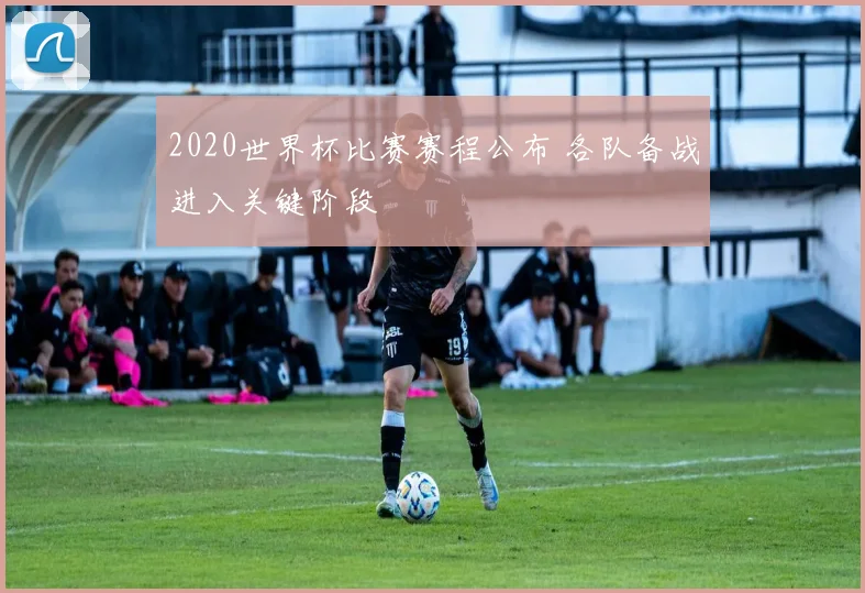 2020世界杯比赛赛程公布 各队备战进入关键阶段