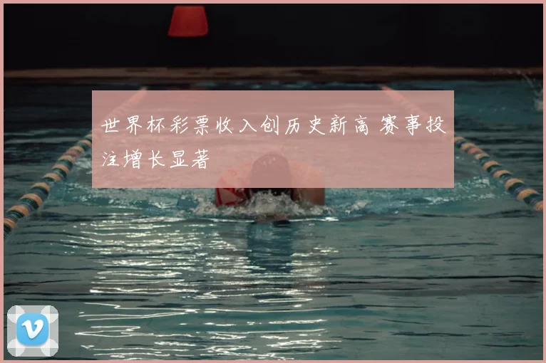 世界杯彩票收入创历史新高 赛事投注增长显著