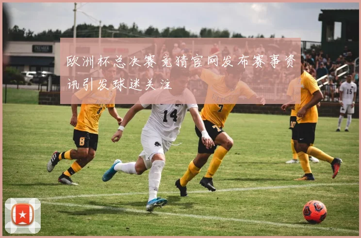 欧洲杯总决赛竞猜官网发布赛事资讯引发球迷关注